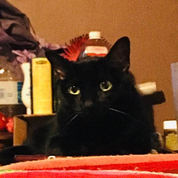 Meet your Posher, Amanda - Picture 1 of 1